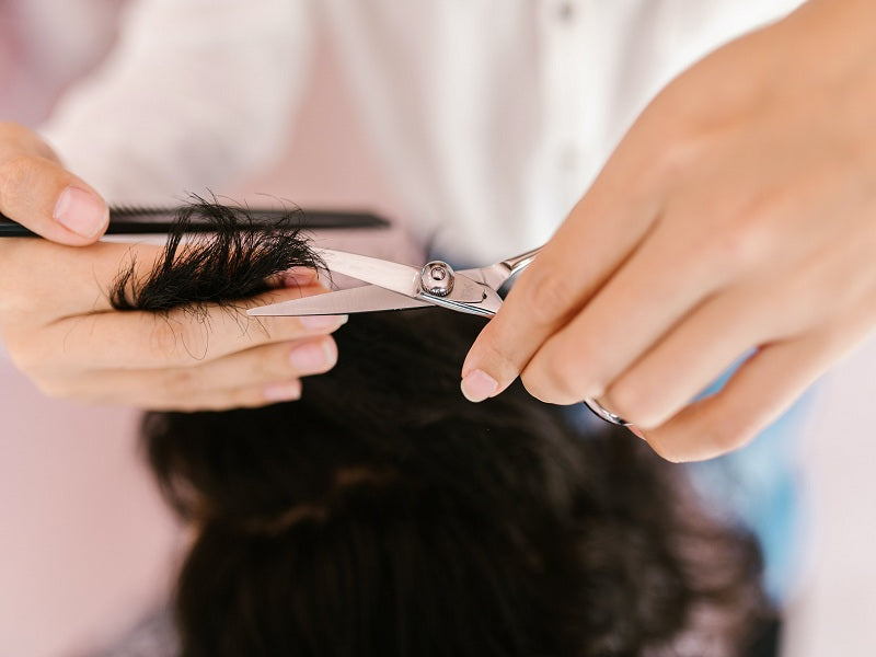 The Ultimate Guide to Choosing Professional Hair Trimming Scissors